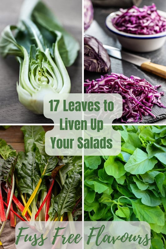 a collage of 4 images of different salad leaves