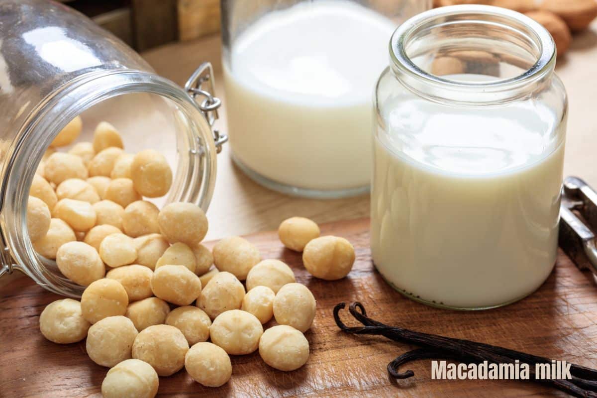 a glass of creamy white macadamia milk with a jar of macadamia nuts
